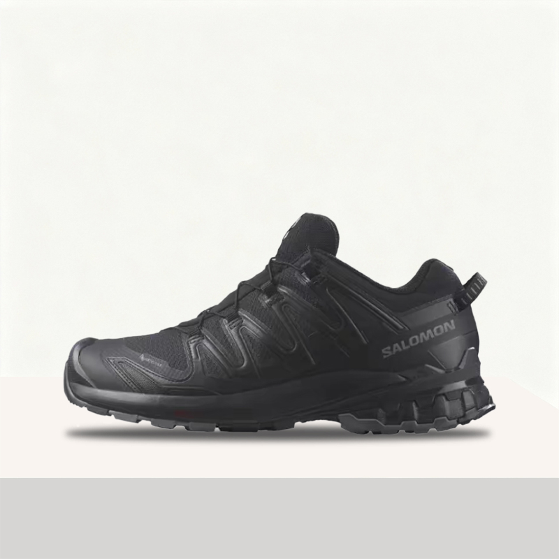 살로몬 XA 프로 3D V9 GTX: 스타일리시하고 클 - Salomon Shoes Xa Pro 3D 리뷰 및 가격