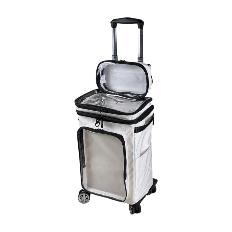 하라주쿠 스타일 만화 투명 캐리어 20인치, 투명 PV - Luggage Wheel Replacement 리뷰 및 가격