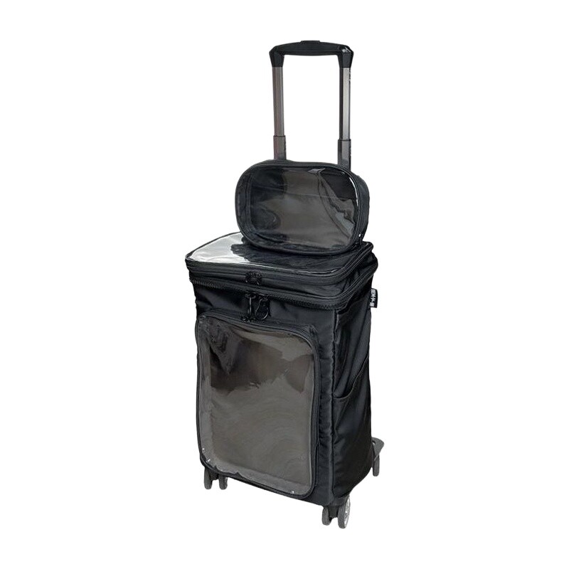 하라주쿠 스타일 만화 투명 캐리어 20인치, 투명 PV - Luggage Wheel Replacement 리뷰 및 가격